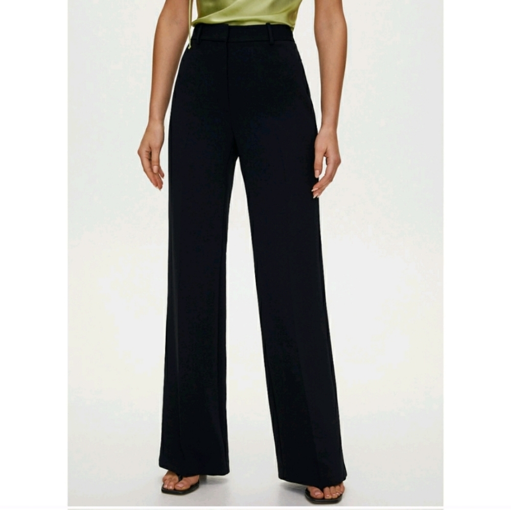 Aritzia Babaton Nostalgia High-Waisted Trousers